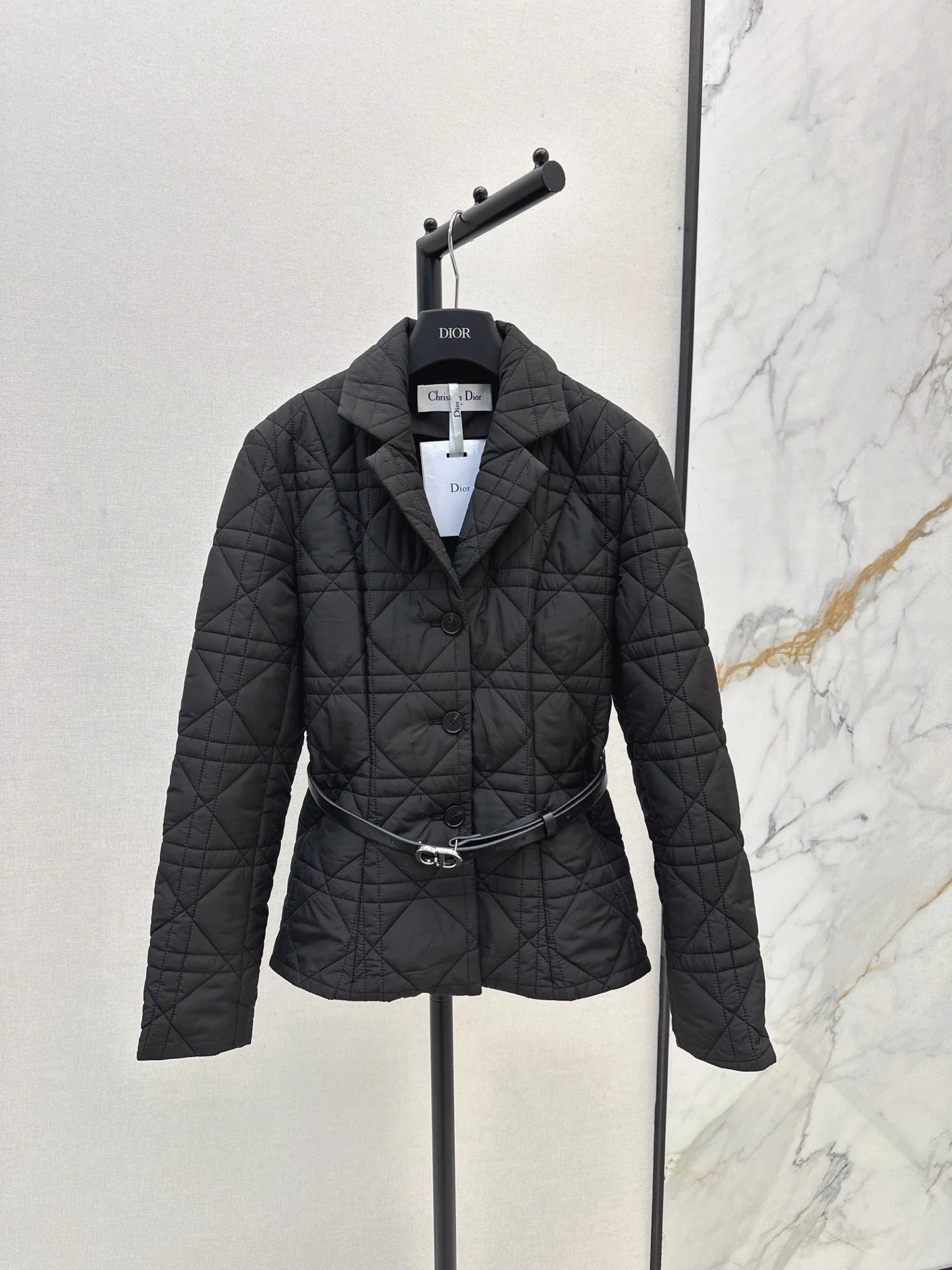CD 2026 Cannage Quilted Jacket Down Nylon 773944