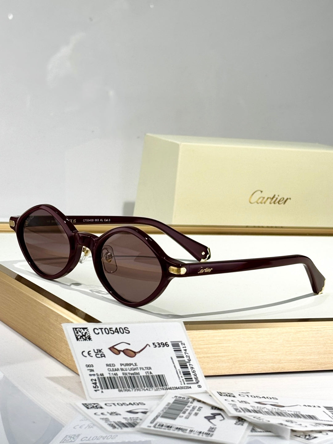 PREMIÈRE GEOMETRIC FRAME SUNGLASSES CT0540S IN ACETATE