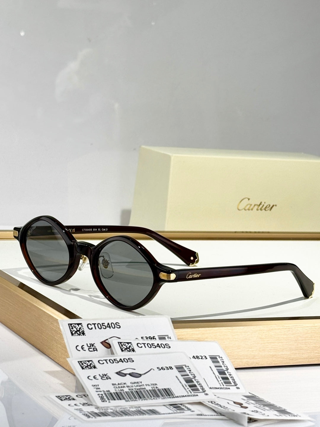 PREMIÈRE GEOMETRIC FRAME SUNGLASSES CT0540S IN ACETATE